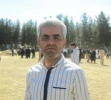در نمایش 