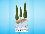 مجتبی مرادی به عنوان دبیر اجرایی همایش