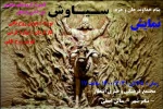 نمایش